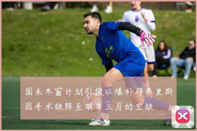 国米冬窗计划引援以填补邓弗里斯因手术缺阵至明年三月的空缺