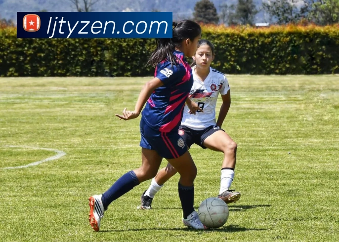 乐竞体育服务体系